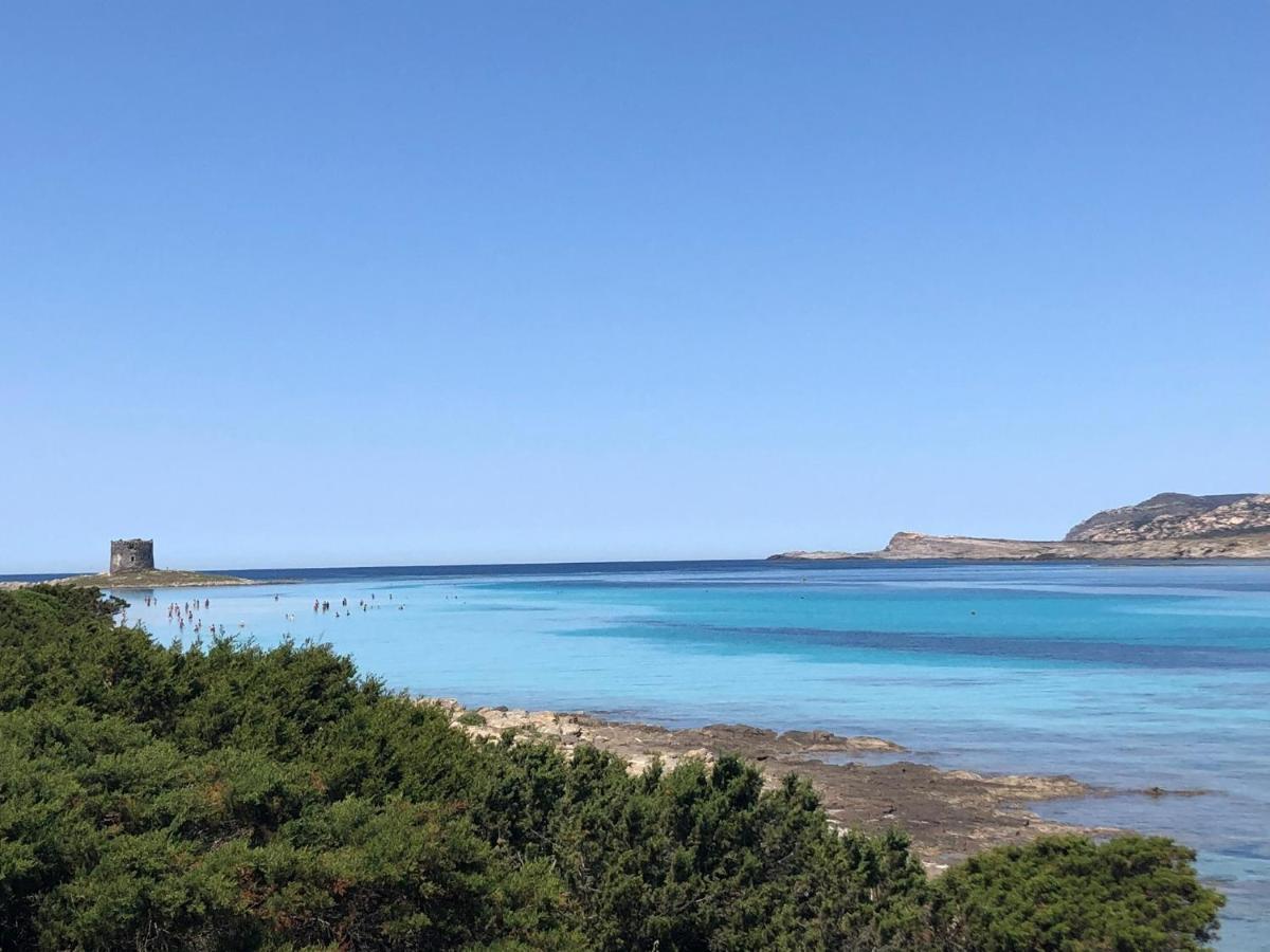 Rosaspe Stintino Appartement Cuile Ezi Mannu Buitenkant foto